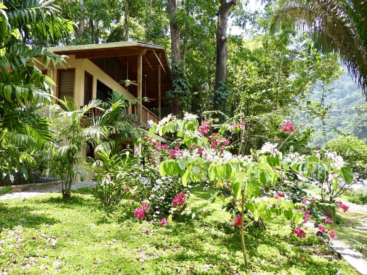 לה סייבה Villas Pico Bonito מראה חיצוני תמונה