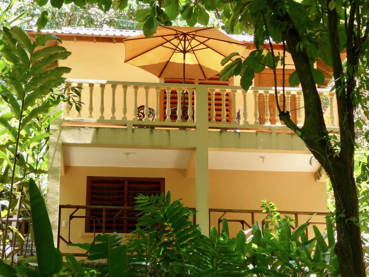 לה סייבה Villas Pico Bonito מראה חיצוני תמונה