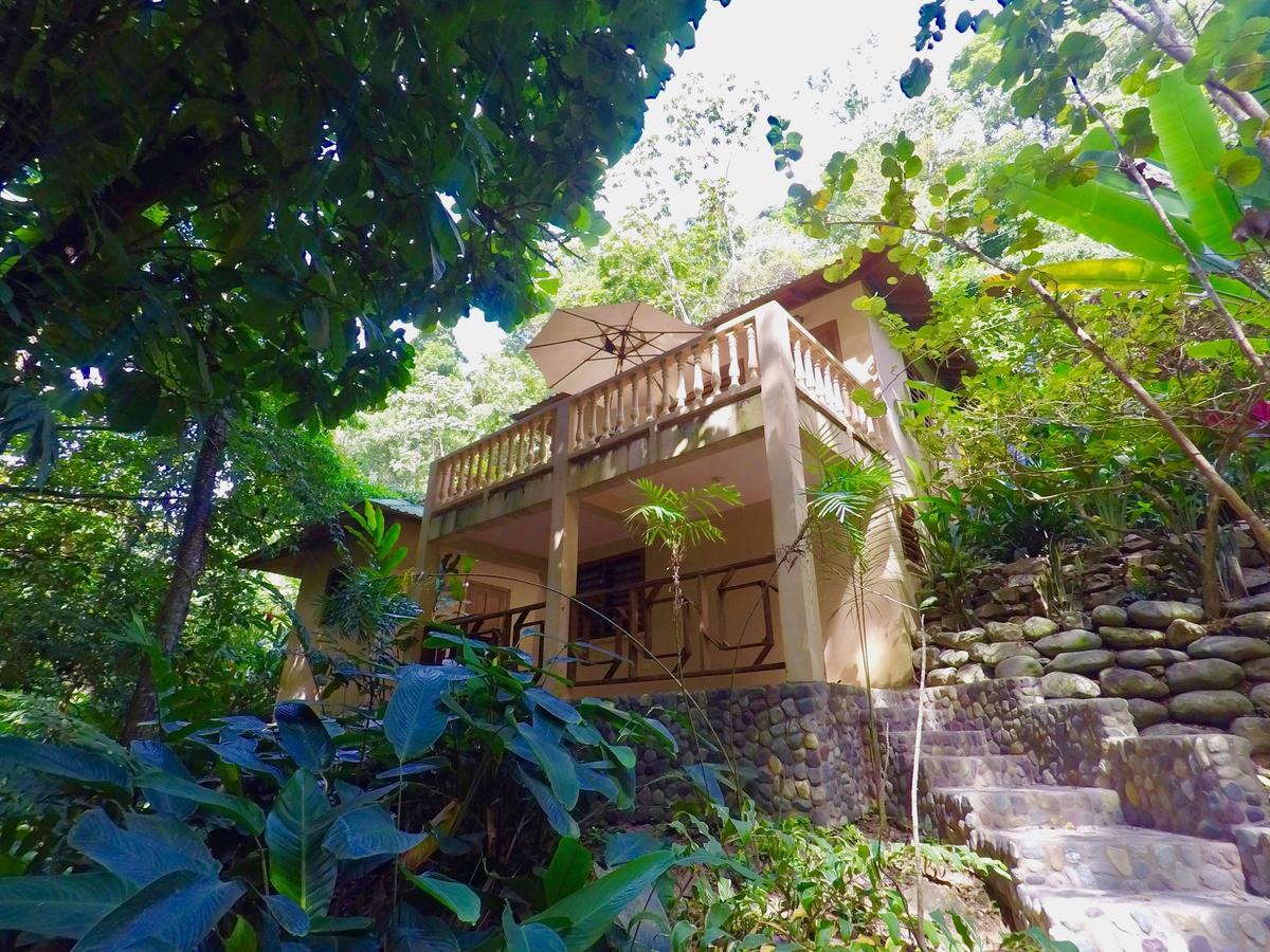 לה סייבה Villas Pico Bonito מראה חיצוני תמונה